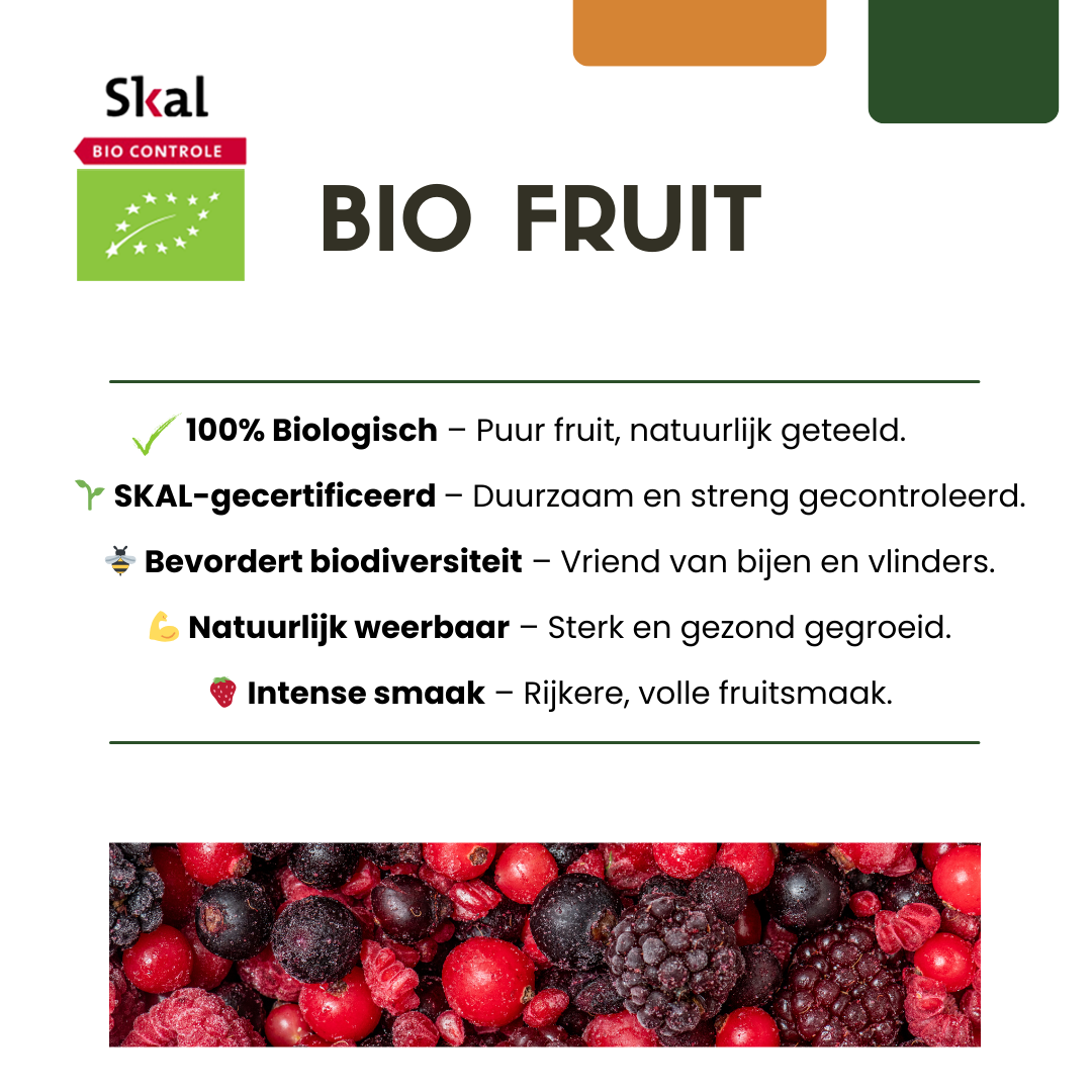 6 x Biologische Vijgenbomen - Γ 13 cm - β¨ 20 cm