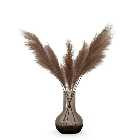 Altijd Stijlvol: Brown Pampas Plumes – 6 Stelen – 115 cm – Natuurlijke Warmte Zonder Onderhoud